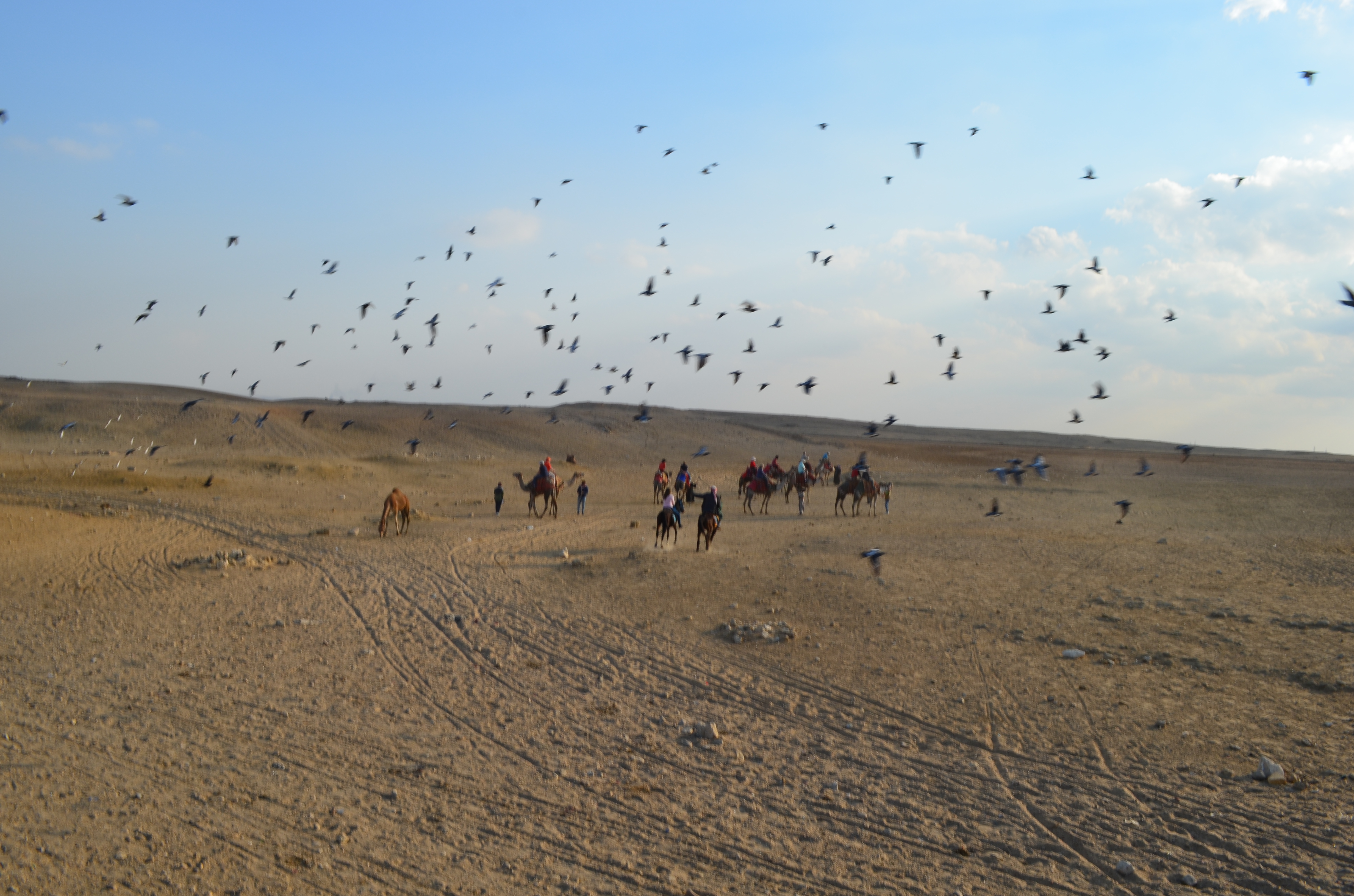 ./2018/16 - Egypt/03 - Pyramids/DSC_0261.JPG